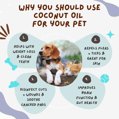 Coco Crush Cold Pressed Pets Virgin Coconut Oil 50 ml - Pet Grooming