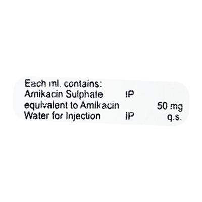 Amiject 100mg Injection 2ml - Bacterial Infections-Ami