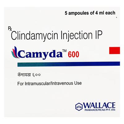 Camyda 600mg Injection 4ml - Bacterial Infections-OAB