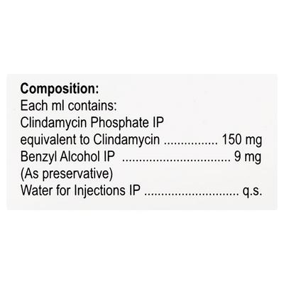 Camyda 600mg Injection 4ml - Bacterial Infections-OAB