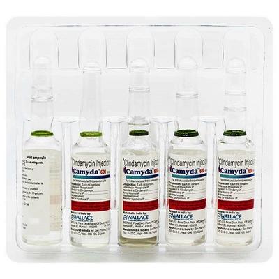 Camyda 600mg Injection 4ml - Bacterial Infections-OAB