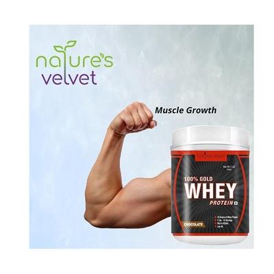 Natures Velvet 100% Gold Whey Powder - Chocolate 454 gm - Whey Proteins