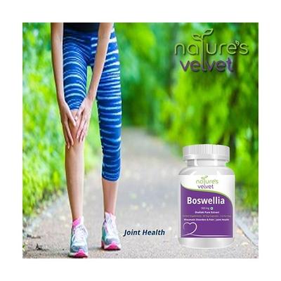 Natures Velvet Boswellia Serrata Pure Extract 500 mg Capsules 60's - Speciality Medicines
