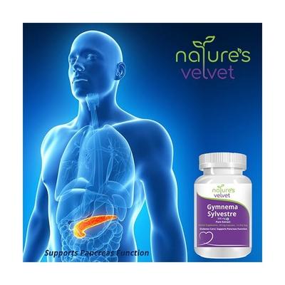 Natures Velvet Gymnema Sylvestre Pure Extract 500 mg Capsules 60's - Diabetes Care (Ayush)