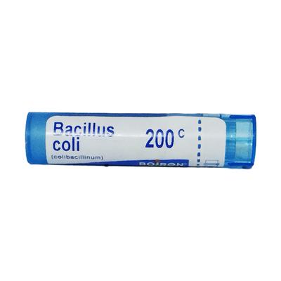 Boiron Bacillus Colibacillinum 200C Multi Dose Pellets 4 gm - Triturations (Homeo Tablets)