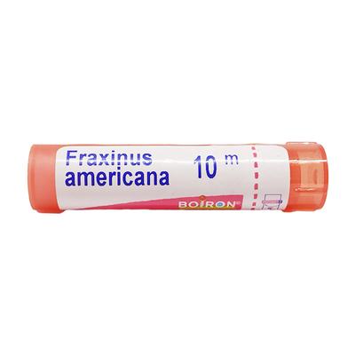 Boiron Fraxinus Americana 10M Multi Dose PELLETS 4 GM - Triturations (Homeo Tablets)