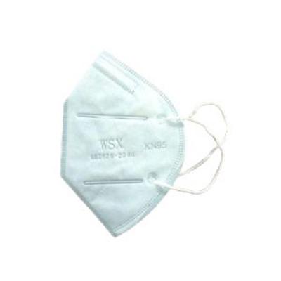 Pinkblue Standard KN95 Face Mask 1's - Face Mask