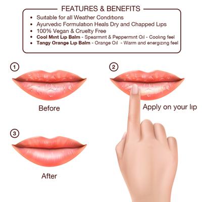 Omved Lip Balm Combo Pack (Cool Mint 8 gm + Tangy Orange 8 gm) - Lip Balms