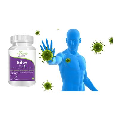 Natures Velvet Giloy 500 mg Veg capsule 60's - Giloy