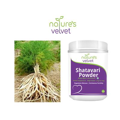 Natures Velvet Shatavari Powder 250 gm - Speciality Medicines