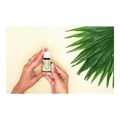 House of Aroma Essential Oil - Lemongrass 10 ml (N) - Essential Oils
