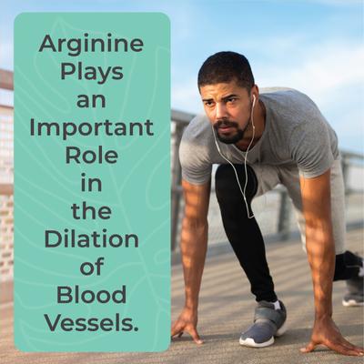 Boldfit L-Arginine HCL 1000 mg Tablet 60's - Amino Acids