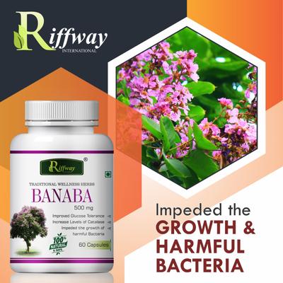 Riffway Banaba 500 mg Capsule 60's - Sexual Healthcare