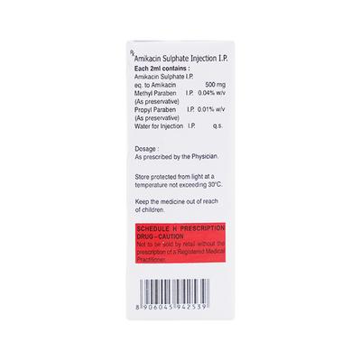 AMILAB 500 Injection 1's - Bacterial Infections-Ami