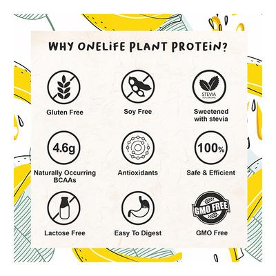 Onelife 100% Plant Protein Powder - Banana Caramel Flavour 500 gm - Workout Essentials