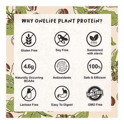 Onelife 100% Plant Protein Powder - Mocha Flavour 500 gm - Workout Essentials
