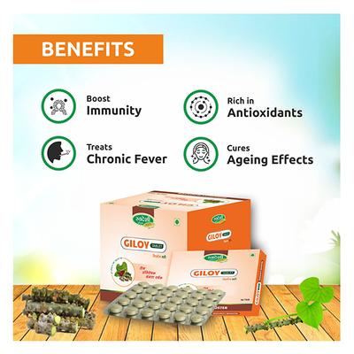 Swadeshi Ayurved Giloy Vati Tablet 30's - Giloy