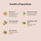Herbal PCOS Tea Powder - Mint 60 gm - Teas