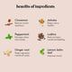 Herbal PCOS Tea Powder - Mint 60 gm - Teas