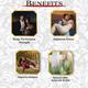 Riffway Sexual Wellness 500 mg Ayurvedic Capsule 10's - Sexual Healthcare