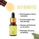 Core & Pure Grade A Essential Oil - Lemon 12 ml - Essential Oils