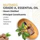 Core & Pure Grade A Essential Oil - Nutmeg 12 ml - Essential Oils