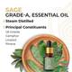 Core & Pure Grade A Essential Oil - Sage 12 ml - Essential Oils