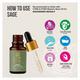 Core & Pure Grade A Essential Oil - Sage 12 ml - Essential Oils