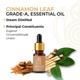 Core & Pure Grade A Essential Oil - Cinnamon Leaf 12 ml - Essential Oils
