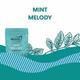 Oraah Green Tea Leaves - Mint Melody 100 gm - Teas