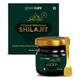 Greencure Original Himalayan Shilajit Resin 20 gm - Speciality Medicines
