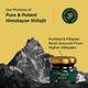 Greencure Original Himalayan Shilajit Resin 20 gm - Speciality Medicines