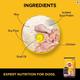 Pedigree Pro Mother & Pup Starter 10000 gm - Petfood