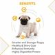 Drools Pug Puppy Premium Dog Food 4000 gm - Petfood