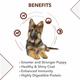 Drools German Shepherd Puppy Premium Dog Food 12000 gm - Petfood