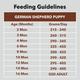Drools German Shepherd Puppy Premium Dog Food 12000 gm - Petfood
