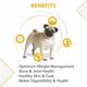 Drools Pug Adult Premium Dog Food 4000 gm - Petfood