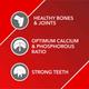Drools Absolute Calcium Syrup- Dog Supplement 300 ml - Petfood