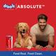 Drools Absolute Calcium Syrup- Dog Supplement 300 ml - Petfood