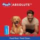 Drools Absolute Vitamin Syrup- Dog Supplement 300 ml - Petfood