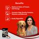 Drools Ultium Performance Adult Dog Food 20000 gm - Petfood
