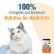 Kitty Yums Adult (+1 Year) Dry Cat Food, Ocean Fish 1200 gm - Petfood