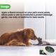 Wiggles Heal O' Rub Organic Dog Paw Balm Cream Butter 30 gm - Pet Grooming