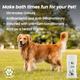 Wiggles VetGenie Dog & Cat Bath Shampoo 200 ml - Pet Grooming