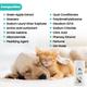 Wiggles VetGenie Dog & Cat Bath Shampoo 200 ml - Pet Grooming