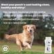 Wiggles Vetglow Dog Bath Shampoo 200 ml - Pet Grooming