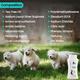 Wiggles Vetglow Dog Bath Shampoo 200 ml - Pet Grooming