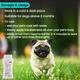 Wiggles Vetglow Dog Bath Shampoo 200 ml - Pet Grooming