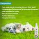 Wiggles Pet Dogs & Cats Sanitizer Spray 100 ml - Pet Grooming