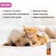 Wiggles Wimmuno+ Dogs & Cats Immunity Booster Probiotics Syrup 100 ml - Pet Healthcare